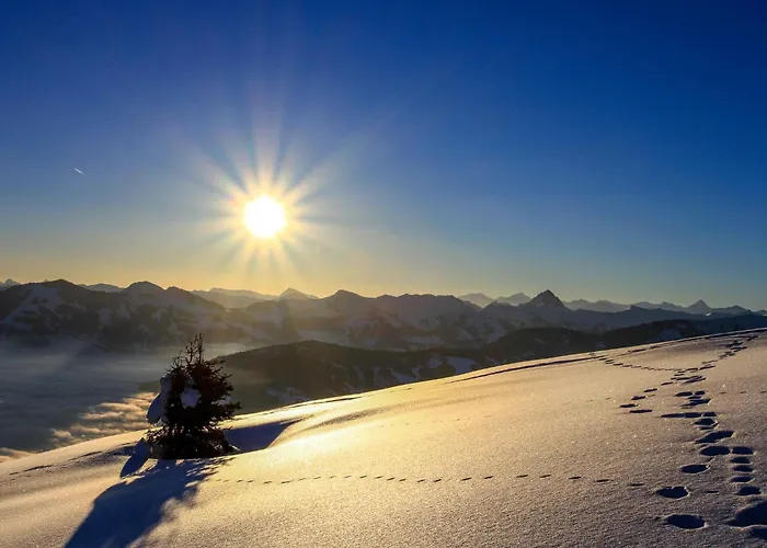 Hohe Salve By Interhome * Oberau