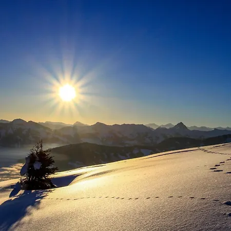 Hohe Salve By Interhome * Oberau